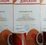 Подведены итоги конкурса «ГТО: Путь к знаку отличия!» - Аромашевский район