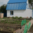 Опытная огородница рассказала тюменцам, что делать в октябре на даче - Aromashevo.Online