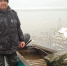 Инспекторы рыбоохраны изъяли 335 кг водных биоресурсов у браконьеров в УФО - Aromashevo.Online