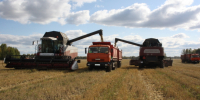 Почти 14 млрд рублей выделят на развитие малого агробизнеса в России - Aromashevo.Online