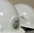 Тюменское экологическое объединение приглашает на познавательные экскурсии - Aromashevo.Online