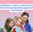 С 1 марта в Тюменской области изменились правила учета алиментов при назначении единого пособия - Aromashevo.Online